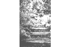 Oak Subscription with all Issues (two-year)