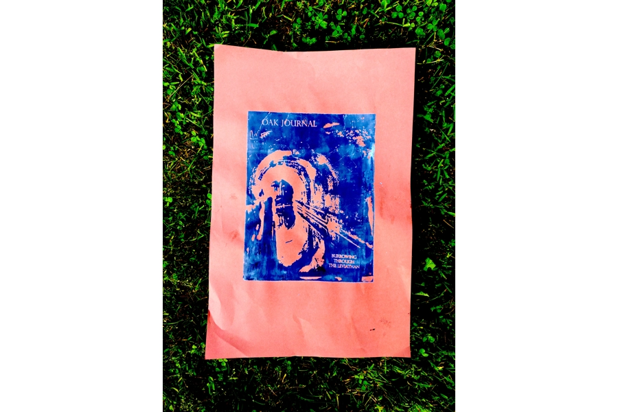 Oak Burrowing Poster