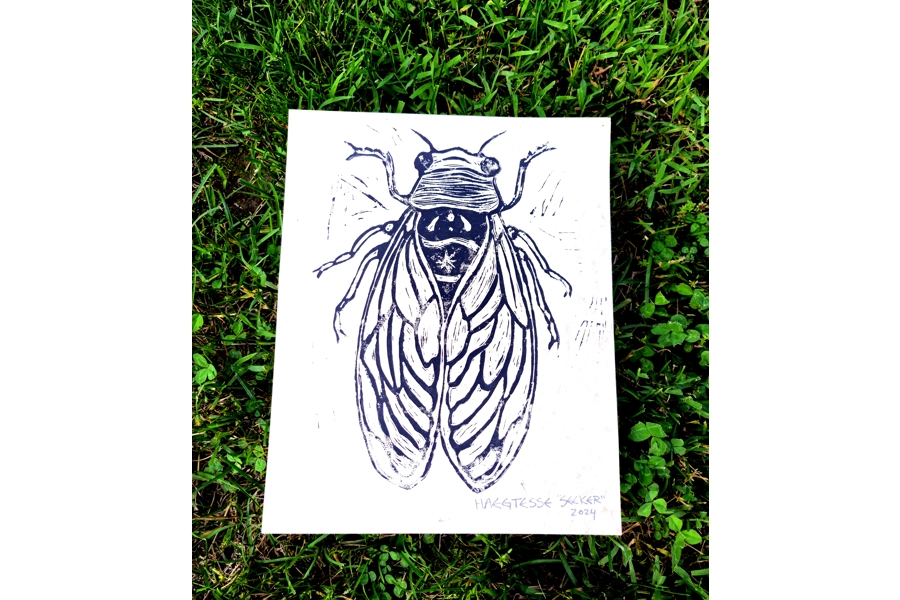 "Seeker" Cicada Print by Haegtesse (shipped)