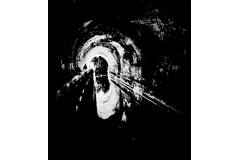 Oak Subscription (Two-Year)