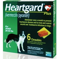 Heartgard Plus Chewables for Dogs 11.5-22.7kg 26-50 lbs - Green 6 Pack