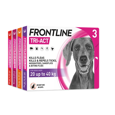 Frontline Tri-Act for Dogs | 20-40kg | 3xApplications