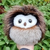 Small owl - Penny