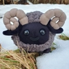 Small dark grey ram - Pyro