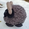 Small dark grey ram - Pyro