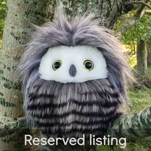 Custom owl with beanie