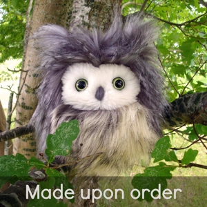 Medium horned owl - Mickel