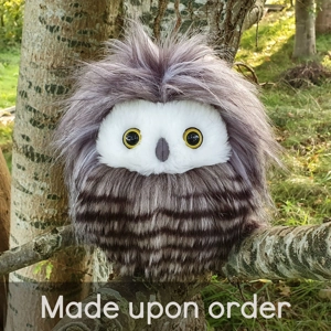 Medium owl - Marius
