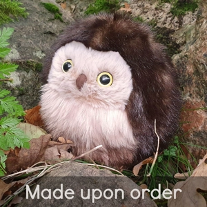 Medium owl - Riley