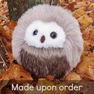 Medium owl - Ted