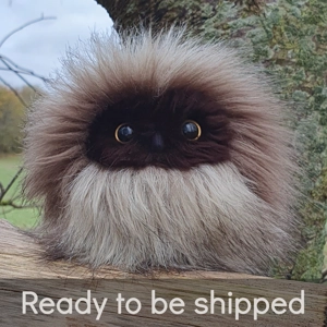 Petite Mountain Hoot - ..