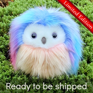 Medium owl - Rainbow