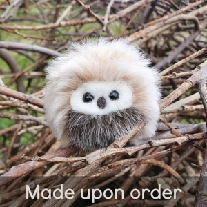 Really Tiny Owl - Briona