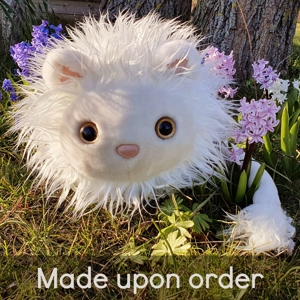 Large white lion - Julius