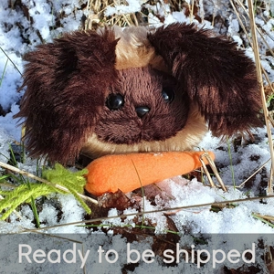 Small bunny - Huckleberry