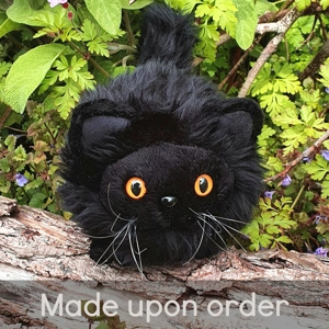 Small cat - Pandora
