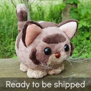 Small striped cat - Rascal