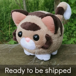 Small striped cat - Tig..