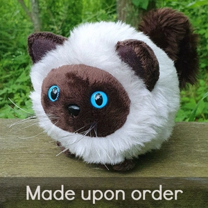 Small cat - Céleste