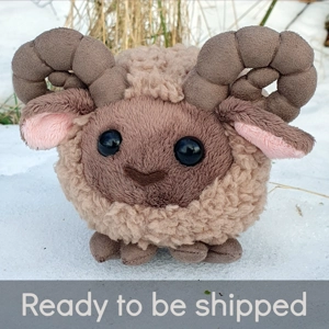 Small light brown ram - Moe