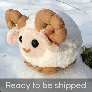 Small white ram - O'Miley