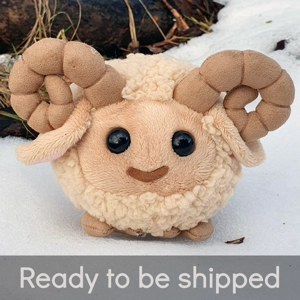 Small blonde ram - Tucker