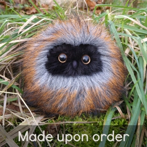 Small mountain hoot - Alexa