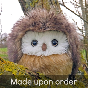 Small owl - Amelia