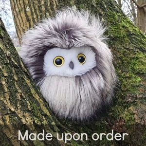 Small owl - Foxy