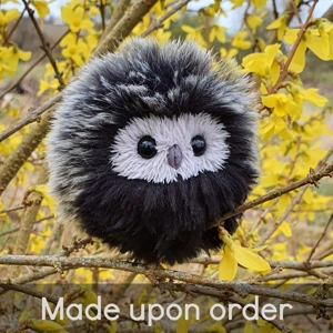 Tiny Owl - Anastasia