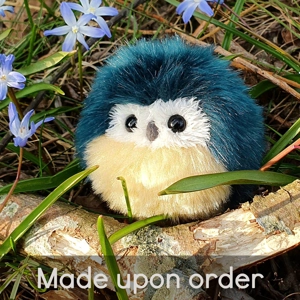 Tiny Owl - Jake