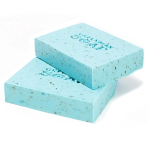 Morning Fresh Greenman Soap Slice 100g