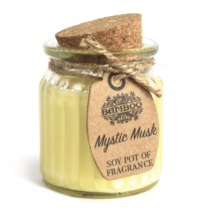 Pack of 2 Mystic Musk Soy Pot of Fragrance Candles