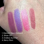 Show Off - Long Wear Lip Color (Gloss Required)