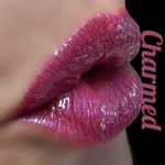 Gloss Required Lipstick Sample Sizes