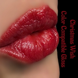 Christmas Limited Edition Glosses