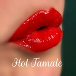 Long Wear Gloss Required Lip Colors