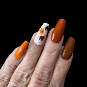 Nail Set - Fall Gradient