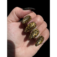 Nail Set - Cateye Leopard