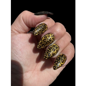Nail Set - Cateye Leopard