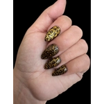 Nail Set - Cateye Leopard
