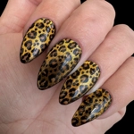 Nail Set - Cateye Leopard