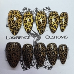Nail Set - Cateye Leopard
