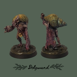 Dolgwund