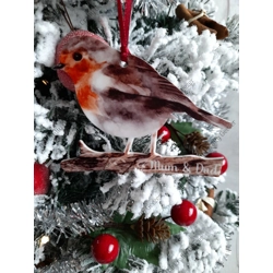 Robin Bauble
