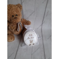 Baby Milestone Set