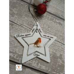 Acrylic robin star bauble
