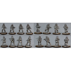 British Rifle Section