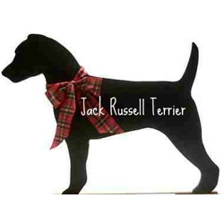 Jack Russel Terrier