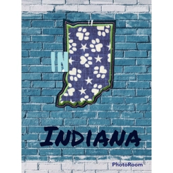 Indiana Ornament